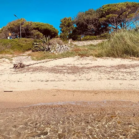 Le Latania Sainte-Maxime